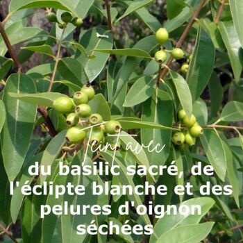 Soutien-gorge foulard coton bio et teinture végétale Olive verte 3