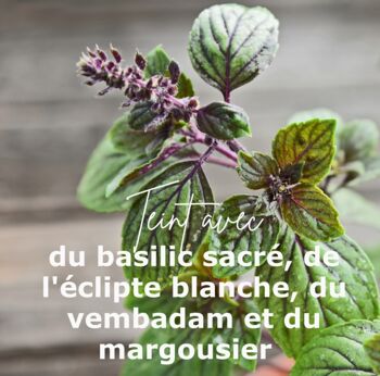 Soutien-gorge brassière coton bio et teinture végétale Feuilles de thé 3