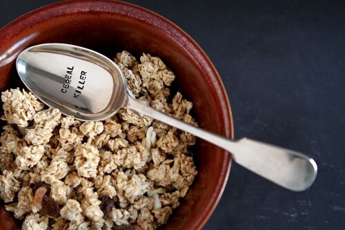 Vintage Silver Plated Dessert Spoon - Cereal Killer