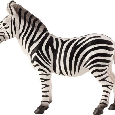 Zebra del pianeta animale