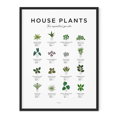 House Plants Guide Print - 30x40cm