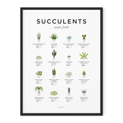 Succulents & Cacti Guide Print - 30x40cm
