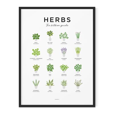 Herbs Guide Print - 30x40cm