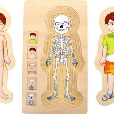 Ragazzo di anatomia del puzzle a strati