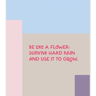 Postcard Be Like a flower