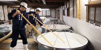 Le coffret découverte du saké japonais 10