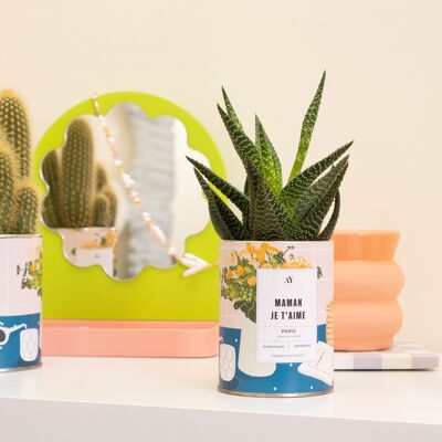 MOM I LOVE YOU - Succulent plant