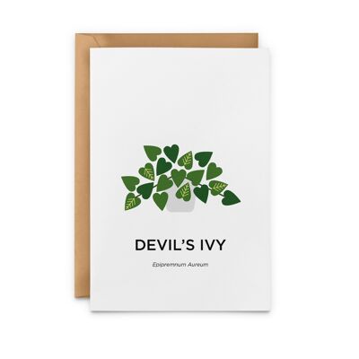 Devil's Ivy Card
