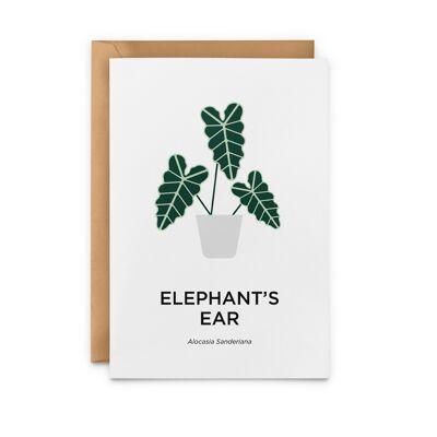 Elephant's Ear Card