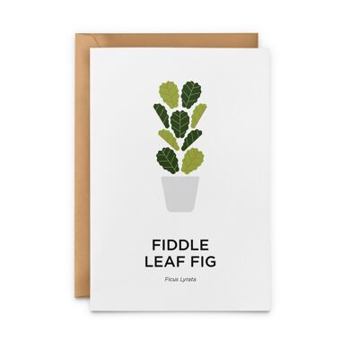 Fiddle Leaf Plant Card