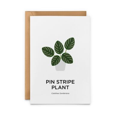 Pin Stripe Plant Card