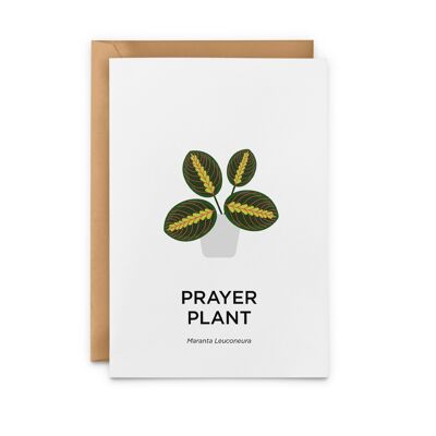 Prayer Plant Card