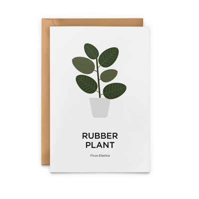 Rubber Plant Card