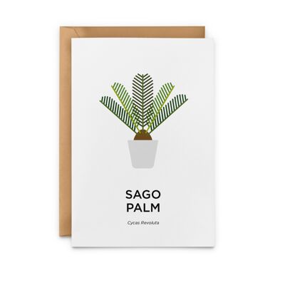 Sago Palm Card