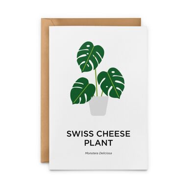 Swiss Cheese Plant Card