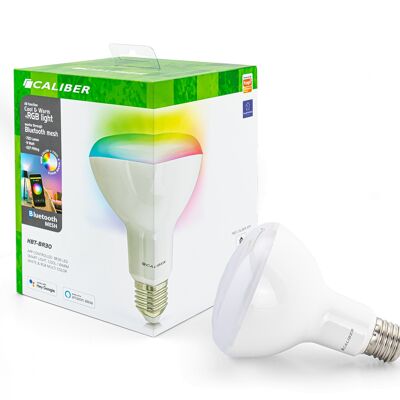 Intelligente Glühbirne – separate Lampe – BR30 – Farben RGB und Weiß (HBT-BR30)