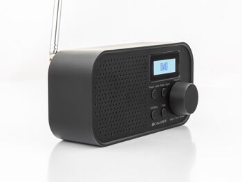 Radio portable DAB+ - Avec fonctions FM et alarme Batterie intégrée (HPG318DAB) 3