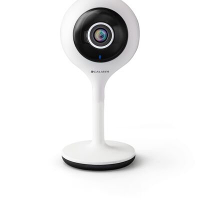 1080P Smart Camera with Motion Detection (HWC101)