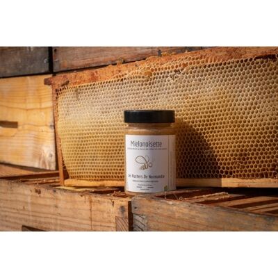 Hazelnut Honey 240 g