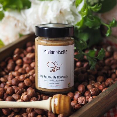 Mielonoisette 240 g