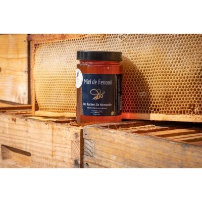 Fennel Honey 500 g
