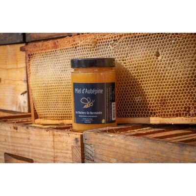 Hawthorn honey and other small flowers 500g