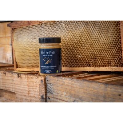 Creamy Forest Honey 250g