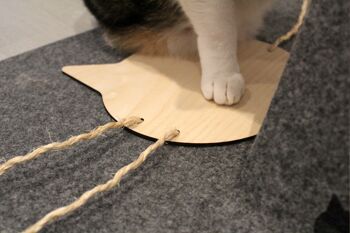 tapis de jeu pour chats PLAYTIME 3