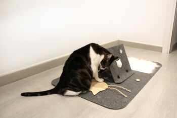 tapis de jeu pour chats PLAYTIME 6