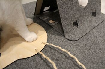 tapis de jeu pour chats PLAYTIME 7