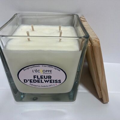 DUFTKERZENWACHS 100% PFLANZLICHES SOJA - 10X10 4 DOCHTE 350 G FLEUR D EDELWEISS