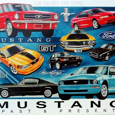 Mustang Chronologie Metallplatte