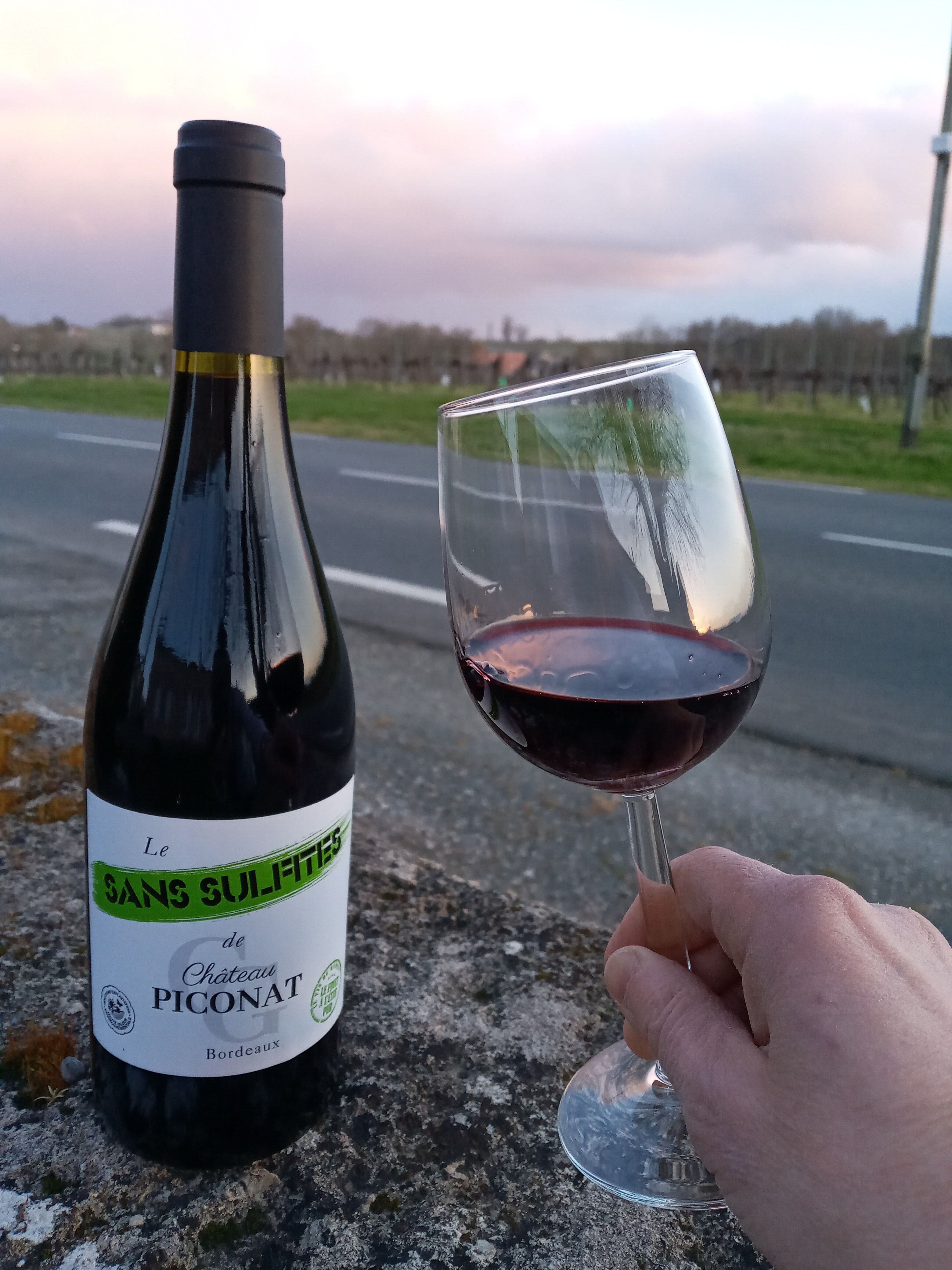 CHATEAU PICONAT BORDEAUX RED WITHOUT SULPHITES