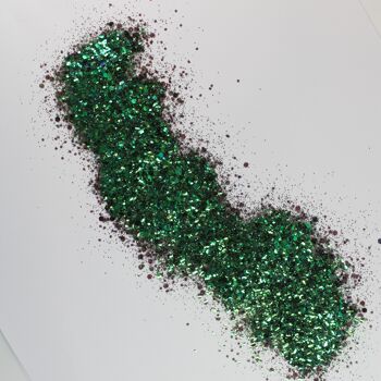 Vert Irisé - Paillettes Festival (10g) 4