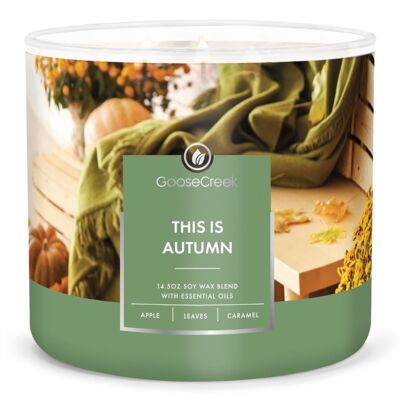 This is Autumn Goose Creek Candle®411 grams 3 wick Collection