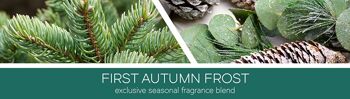 Bougie Goose Creek First Autumn Frost®411 grammes Collection 3 mèches 2