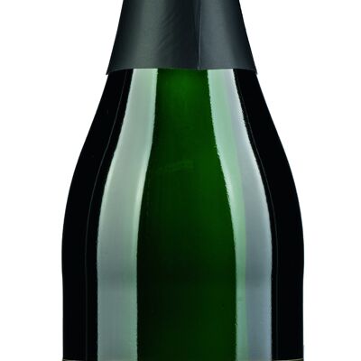 Riesling sparkling wine dry Qba Palatinate 0.75ltr.