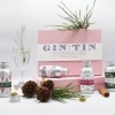 QUATTRO FANTASTICHE TIPPLE FESTE – in una confezione regalo rosa