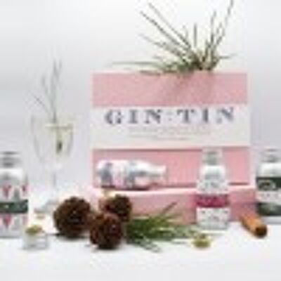 FOUR FANTASTIC FESTIVE TIPPLES – in a pink gift box