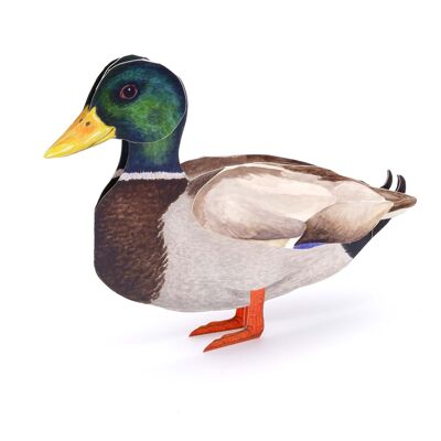 Carta animale tridimensionale "Mallard"