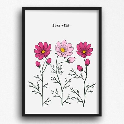 Stay Wild Cosmos Flowers A4 Print