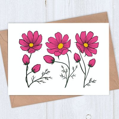 Row of Cosmos Flowers Blank Card