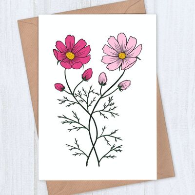 Two Cosmos Flowers Blank Card