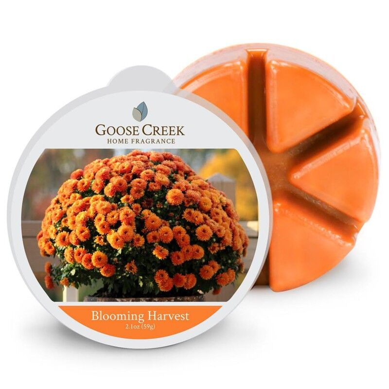 Blooming Harvest Goose Creek Candle® Cera da sciogliere