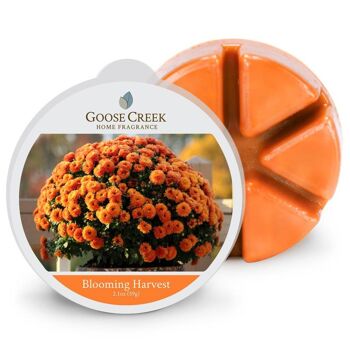 Blooming Harvest Goose Creek Candle® Cire fondue 1