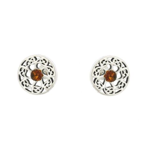 Wandsworth Amber Studs Earrings and Presentation Box