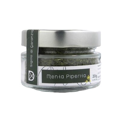 Menta Piperita 20 gr Made in Italy