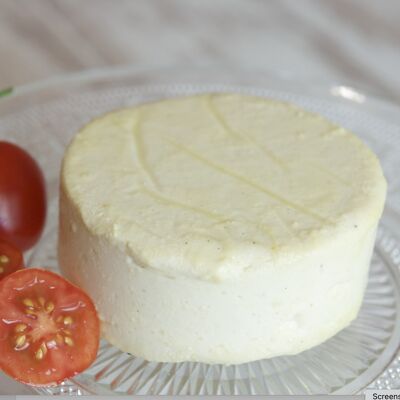 Getrüffelter veganer Brie-Käse