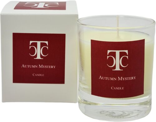 Autumn Mystery Scented Candle 30 hour