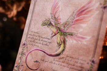 Dragon Féerique de la Rosée 2